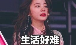 深夜吃瓜痞,揭秘娱乐圈背后的秘密