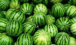 设计公司吃瓜群,设计公司“吃瓜群”里的创意火花与职场趣闻