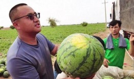 刘大强吃瓜,揭秘娱乐圈幕后真相