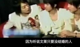 吃瓜系统变成帅哥,变身帅哥的奇幻之旅