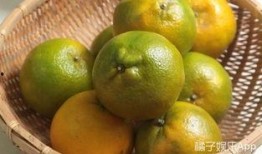 橘甜吃瓜,探寻夏日消暑美食之旅