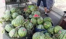 揭阳吃瓜曝光事件,网络舆论漩涡中的真相探寻