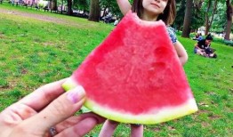 依依吃瓜全文,揭秘娱乐圈背后的真相与八卦