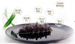 怎样吃海参怎样吃刺角瓜,海参与刺角瓜的养生搭配食谱