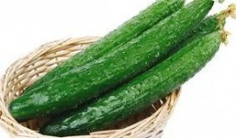 锤头瓜怎样吃,探索美味新境界