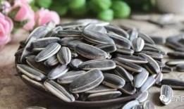 睿智吃瓜不吐瓜子,揭秘娱乐圈背后的真相