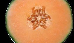 月经期间哈密瓜可以吃吗,月经期间哈密瓜适宜食用吗？