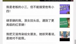 吃瓜婆回复录音,一场关于瓜田的趣味对话