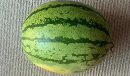 瑞士波兰球吃瓜,一场国际友谊的“吃瓜”盛宴