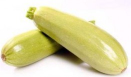 孕早期可吃白瓜,白瓜助力母婴健康