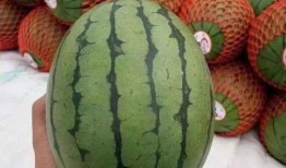 吃瓜聊天素材,揭秘娱乐圈那些不为人知的幕后故事